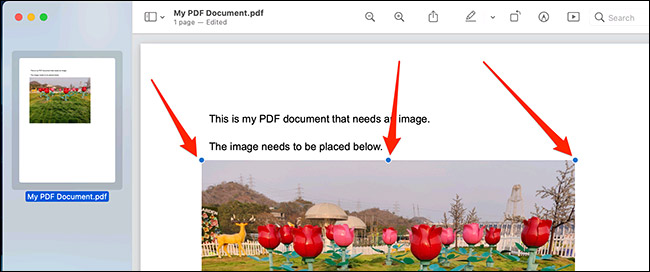Nhấn Command + V để dán ảnh vào PDF