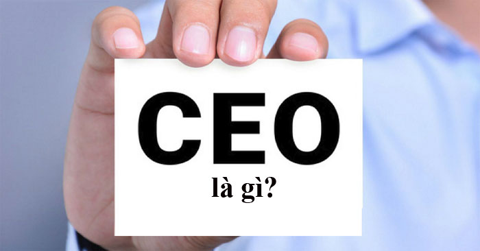 What is CEO?  What major does the CEO study?