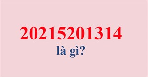 5201314 là gì? 20215201314 là gì?