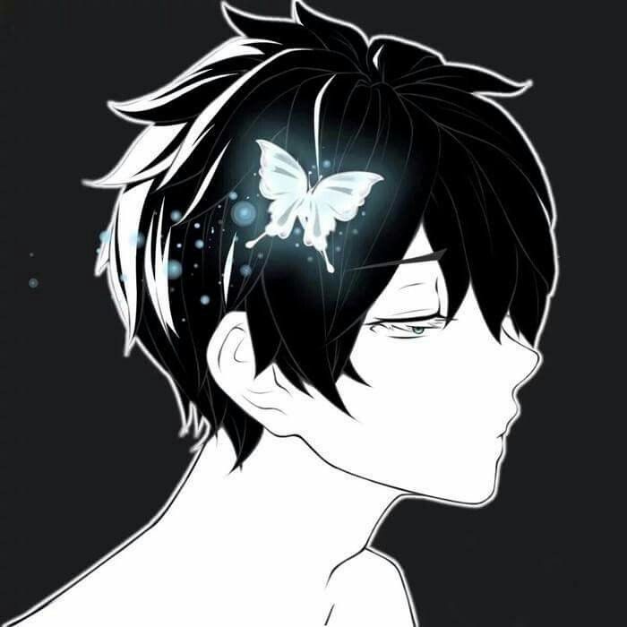 AVT Doi Anime 19*161148