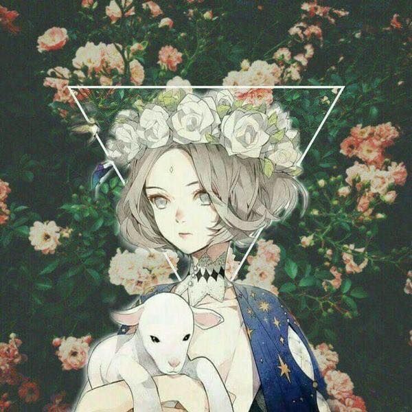 AVT Doi Anime 38*161162
