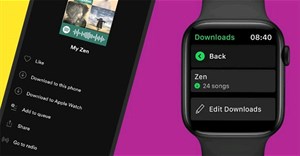 Người dùng hiện có thể nghe nhạc Spotify ngoại tuyến trên Apple Watch