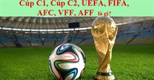 Cúp C1, Cúp C2, UEFA, FIFA, AFC, VFF, AFF là gì?
