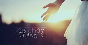 Chào tháng 6: Câu nói hay nhất về tháng 6, stt tháng 6 tràn ngập yêu thương