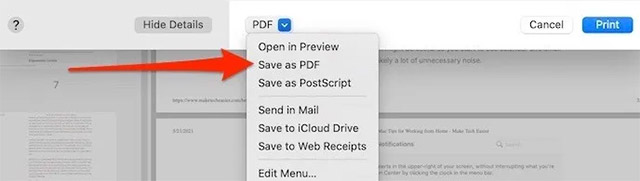 Nhấn vào “Save as PDF”