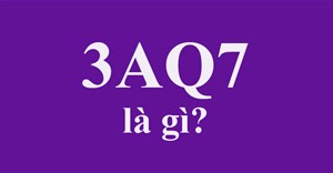 3aq7 là gì? 3107 là gì?