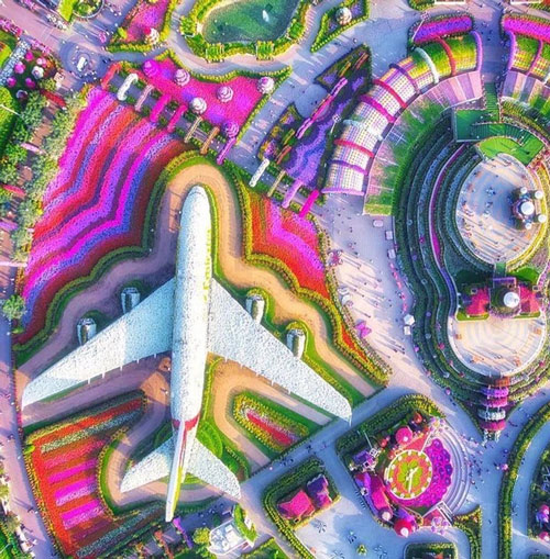 Dubai Miracle Garden là một vườn hoa nằm ở khu vực Dubailand, Dubai, nơi đây có hơn 250 triệu loài thực vật sinh sống và được mệnh danh là vườn hoa lớn nhất thế giới.