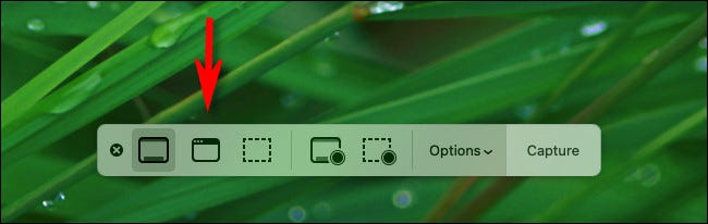 Chọn mục “Capture Selected Window”
