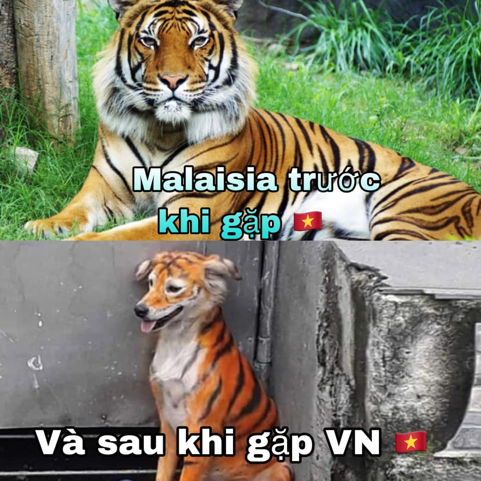 ảnh chế việt nam và malaysia