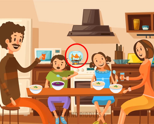 Bể cá đang được đun trên bếp