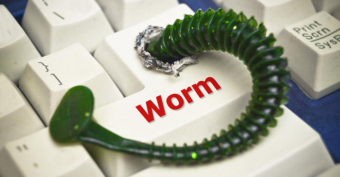 Worm là gì? Tại sao chúng lại nguy hiểm với máy tính?