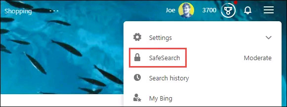Click on “Safe Search”