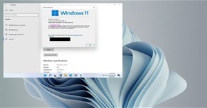 Bên cạnh Windows 11, Microsoft sẽ ra mắt cả Windows 11 SE?