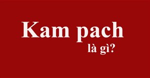 Kam pach là gì?