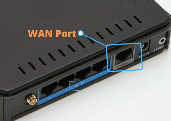 Tất cả các máy khách, máy chủ và thiết bị mạng được kết nối với nhau bằng một cổng LAN