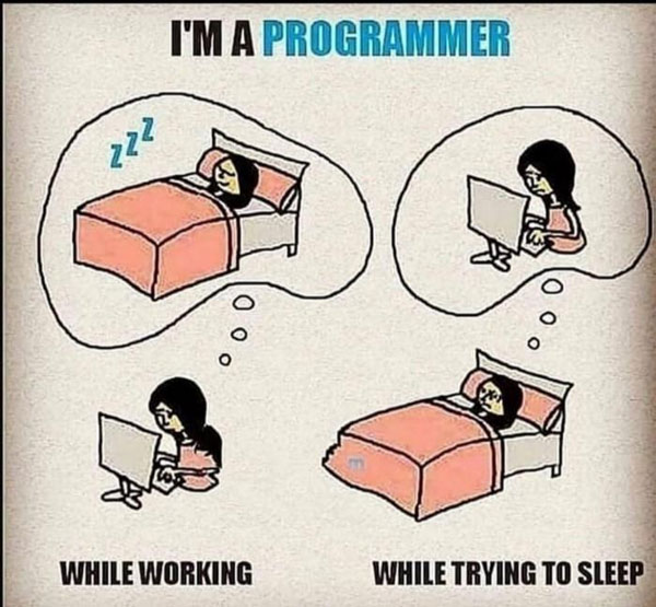 Cuộc sống của một lập trình viên “yêu nghề”.
