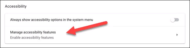 Bấm chọn “Manage Accessibility Features”