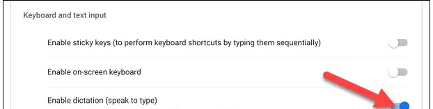 Bật tính năng “Enable Dictation (Speak to Type)”