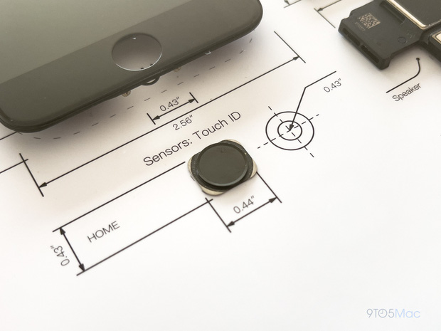 Cảm biến Touch ID kèm phím Home vật lý.