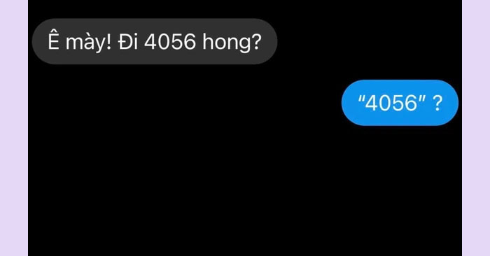 4056 là gì