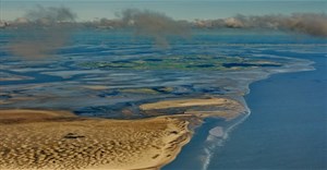 Biển Wadden là gì, có gì đặc biệt mà được Google Doodle tôn vinh hôm nay?