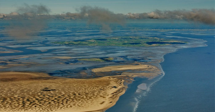 Biển Wadden là gì, có gì đặc biệt mà được Google Doodle tôn vinh hôm nay?