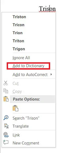 Click Add to dictionary