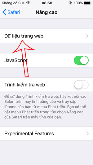 Dữ liệu trang web