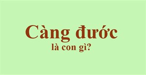 Con Càng đước là con gì?