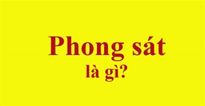 Phong sát là gì?