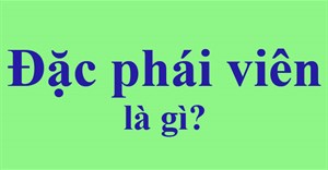 Đặc phái viên là gì? Đặc phái viên của tổng thống là gì?