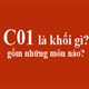 C01 là khối gì? C01 gồm những môn nào, ngành nào, trường nào?