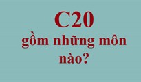 C20 gồm những môn nào, ngành nào?