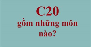 C20 gồm những môn nào, ngành nào?