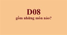 D08 gồm những môn nào?