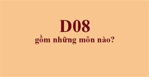 D08 gồm những môn nào?