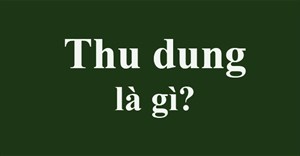 Thu dung là gì? Thu dung trong y tế là gì?