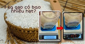 Góc tò mò: 1kg gạo có bao nhiêu hạt gạo?