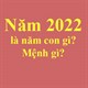 Năm 2022 là năm con gì? Năm 2022 mệnh gì?