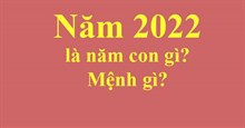 Năm 2022 là năm con gì? Năm 2022 mệnh gì?