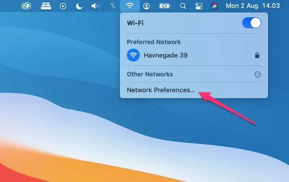 Click on “Network Preferences…”