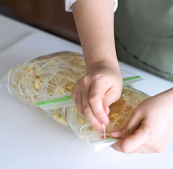 Bảo quản giá đỗ bằng túi khóa kéo
