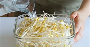3 cách bảo quản giá đỗ được lâu, không thâm