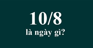 10/8 là ngày gì