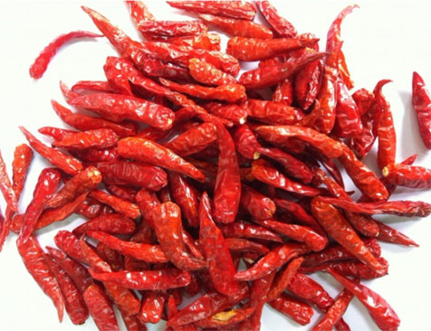 Preserving chili by drying