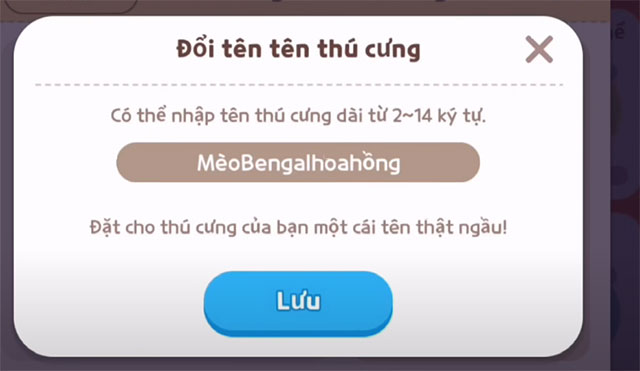 doi ten pet play together