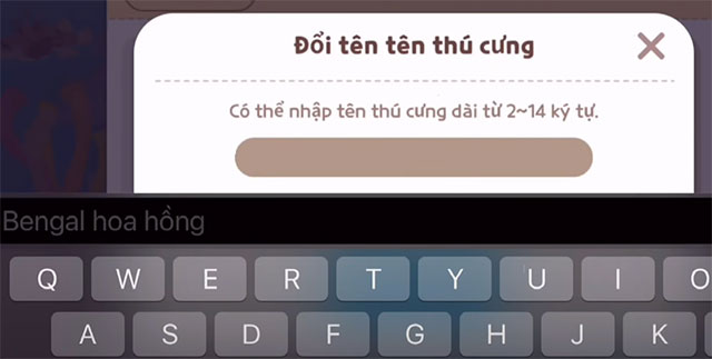 doi ten pet play together