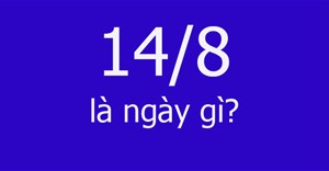 14/8 là ngày gì?