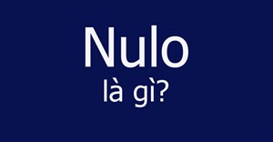 Nulo là gì?