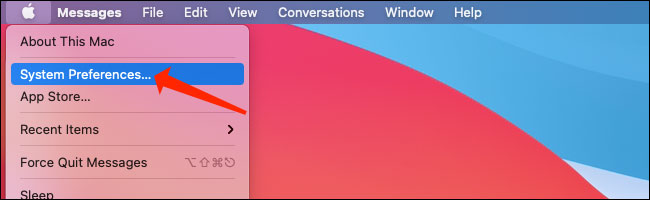 Nhấp vào “System Preferences”